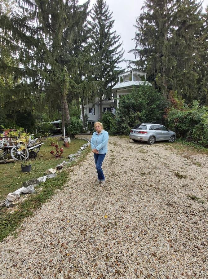 Fehér Hintó Miskolc Kültér fotó