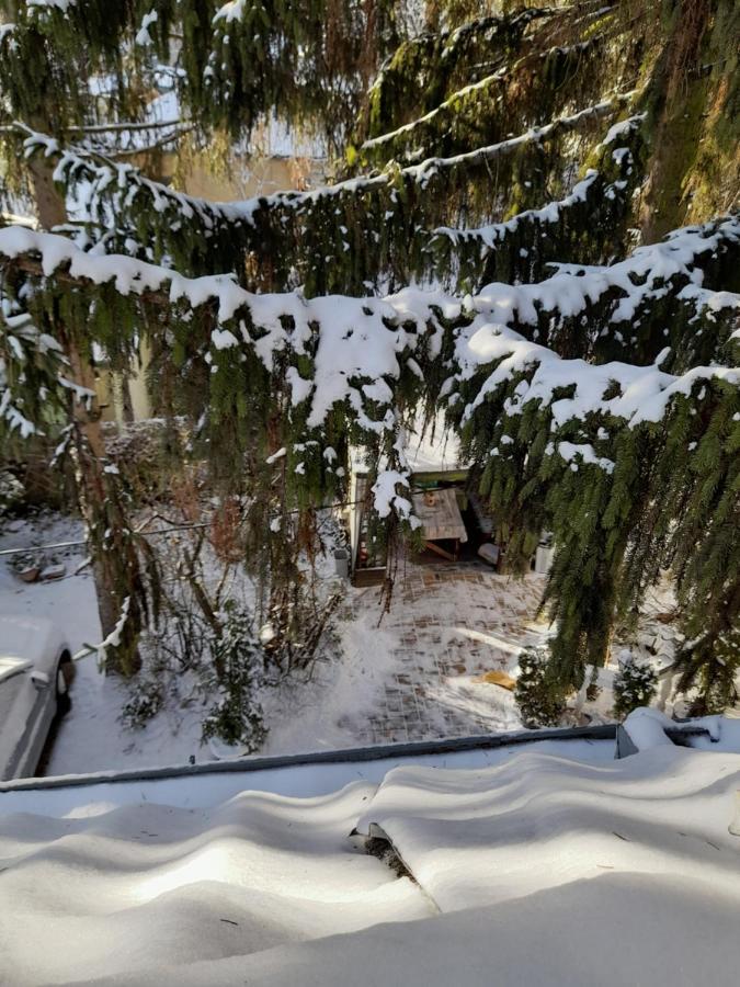Fehér Hintó Miskolc Kültér fotó