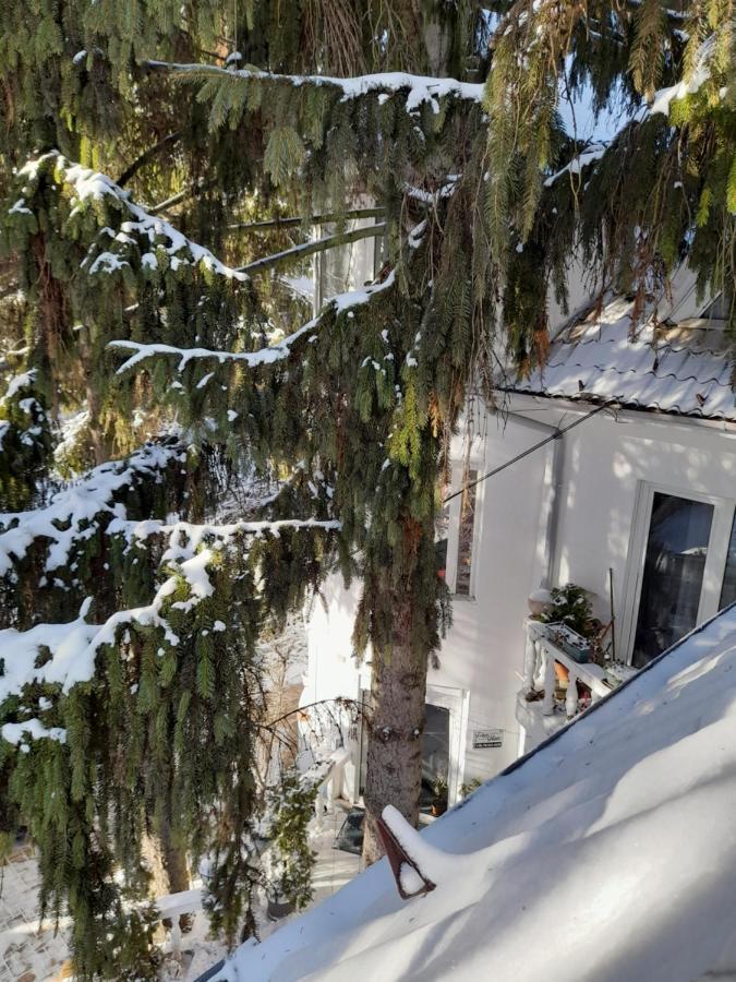 Fehér Hintó Miskolc Kültér fotó